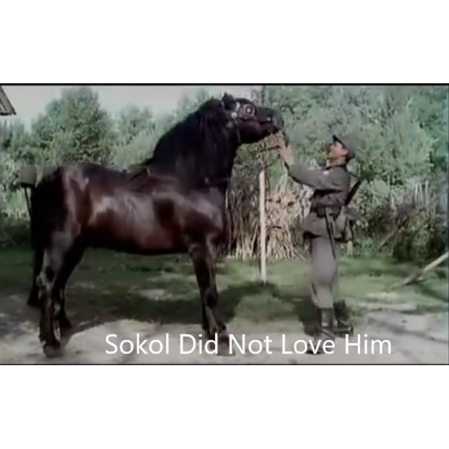Sokol Did Not Love Him – 1988 WWII